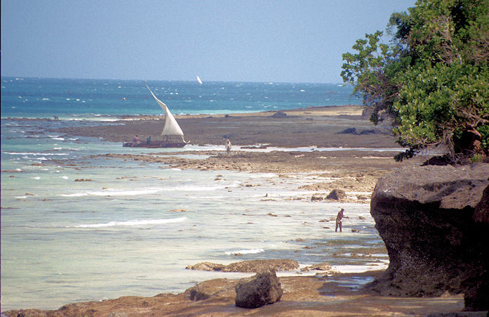 Sudafrika bis Tansania 1995-03-090.jpg